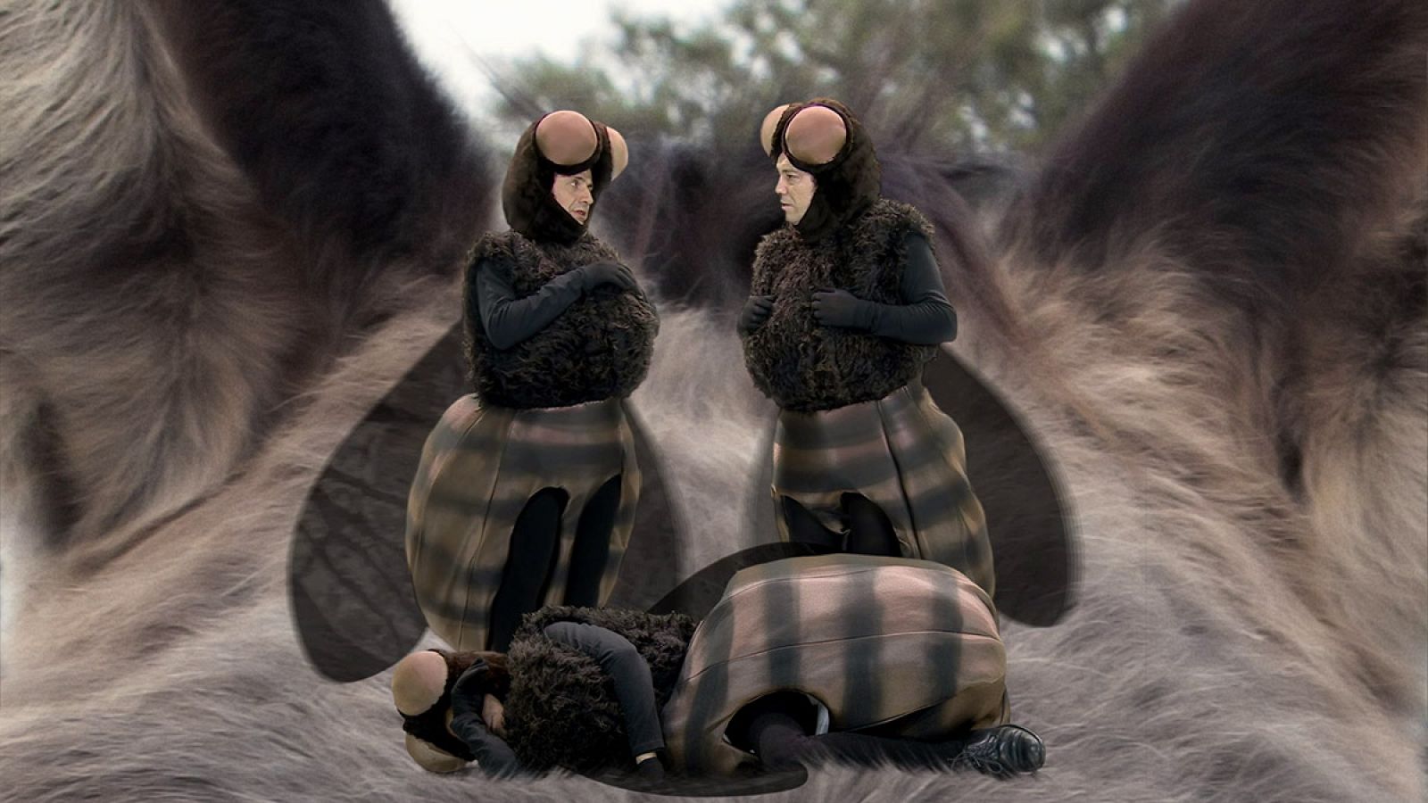 José Mota presenta - La muerte del tábano