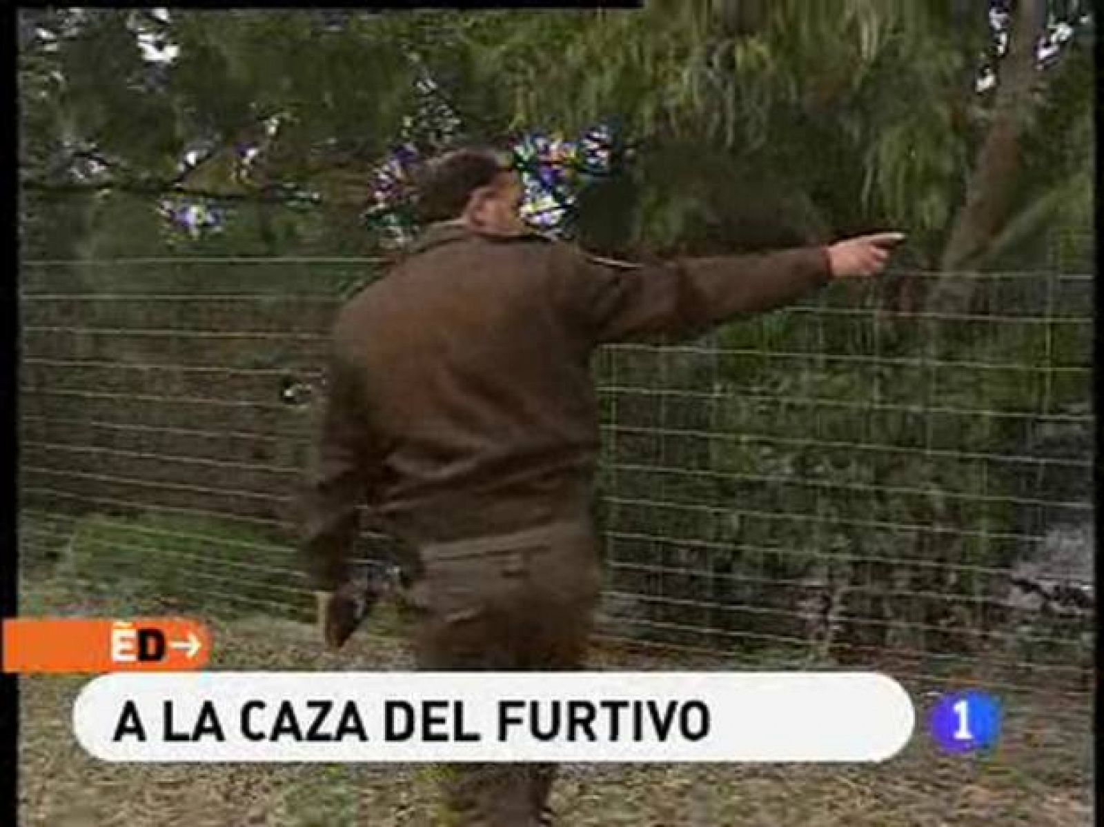 España Directo: A la caza del furtivo | RTVE Play