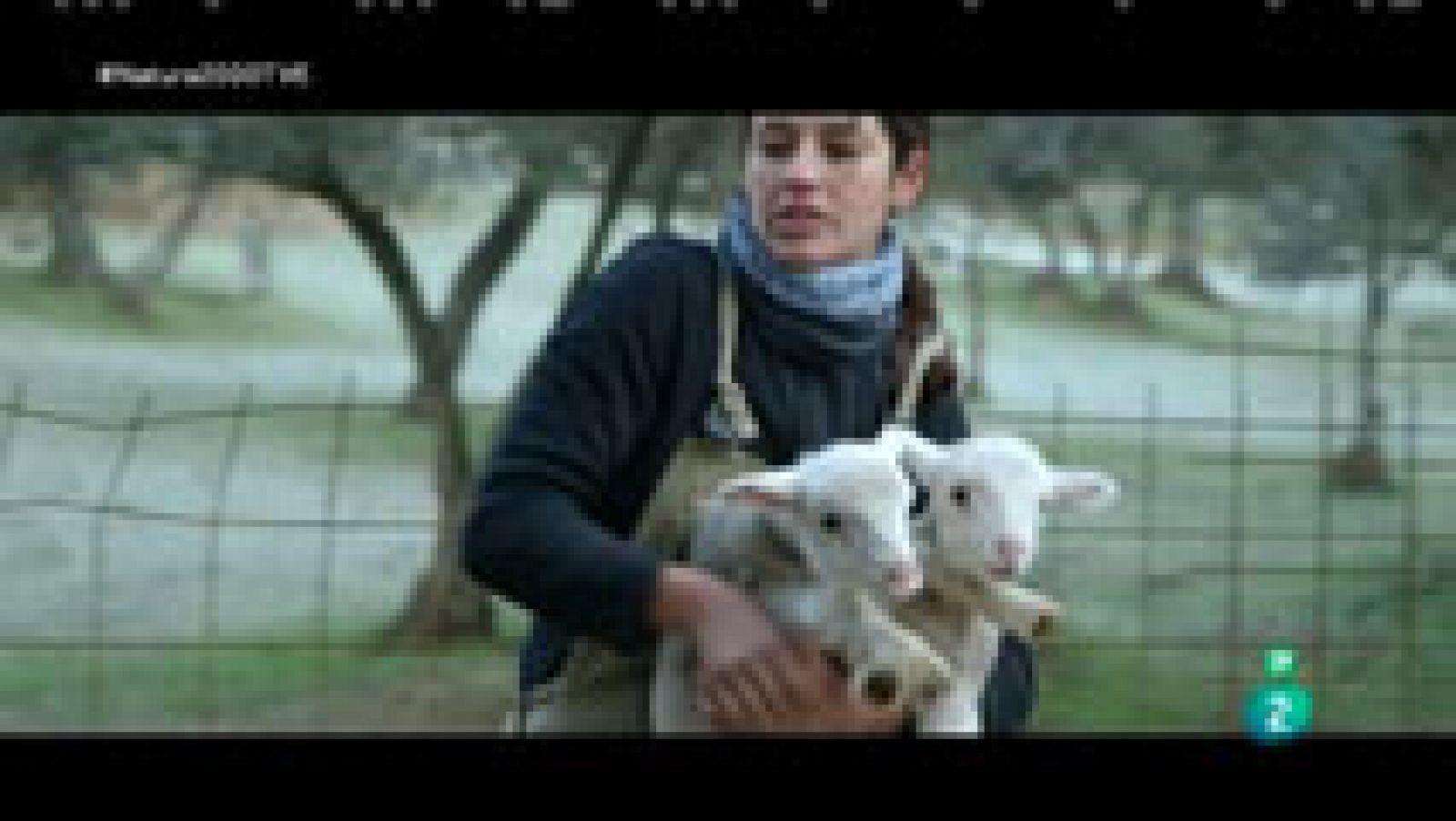 Red Natura 2000 - Granjera en la Sierra Norte de Sevilla