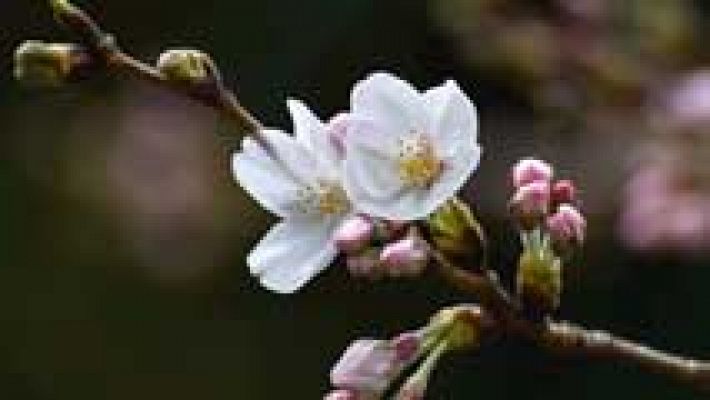 Informativo de Madrid - El Tiempo en la Comunidad de Madrid - 21/03/16