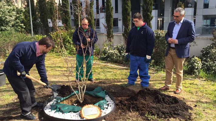 Telediario 1 - La integración desde pequeños y en el mundo laboral, el reto para las personas con síndrome de Down
