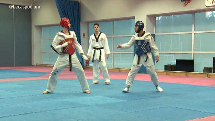 Capítulo 14. Taekwondo