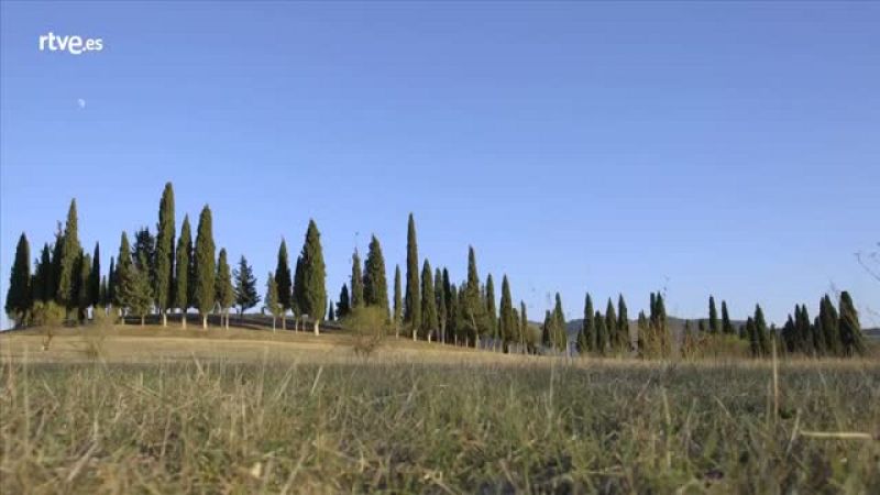 Ángel Fernández, Guía del Conjunto Arqueológico Dólmenes de Antequera, nos explica uno de los dólmenes, el Tholos de El Romeral.