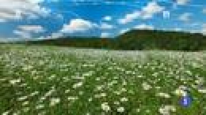 TeleCantabria - El tiempo en Cantabria - 23/03/16