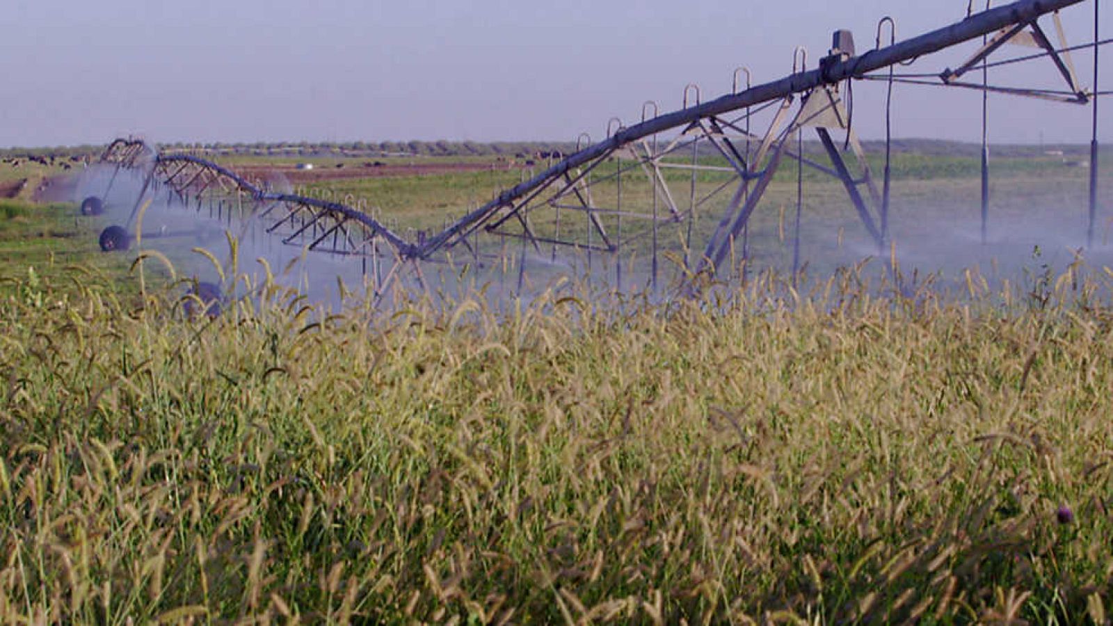 Documenta2 - La aventura del agua: El agua y su hombre - Ver ahora