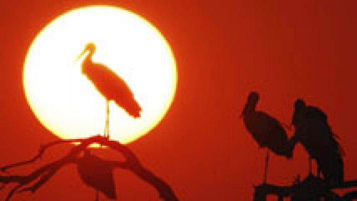 El tiempo - Cielos despejados y temperaturas en ascenso