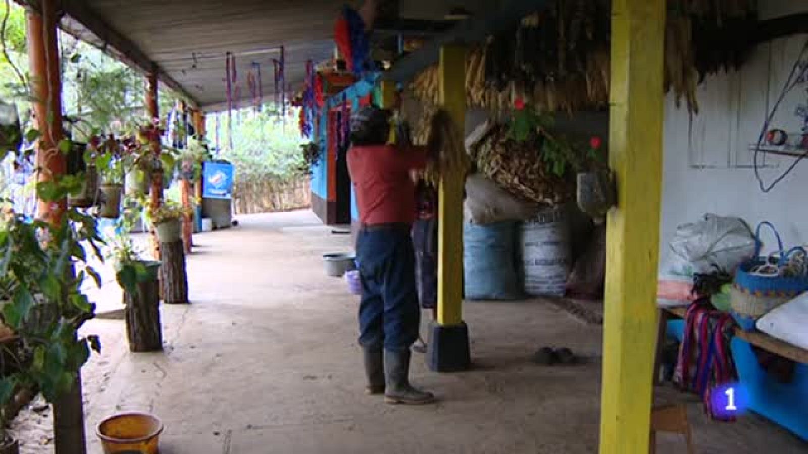 Un proyecto de desarrollo financiado con donaciones de España ha dado acceso al agua a 800 familias de Guatemala