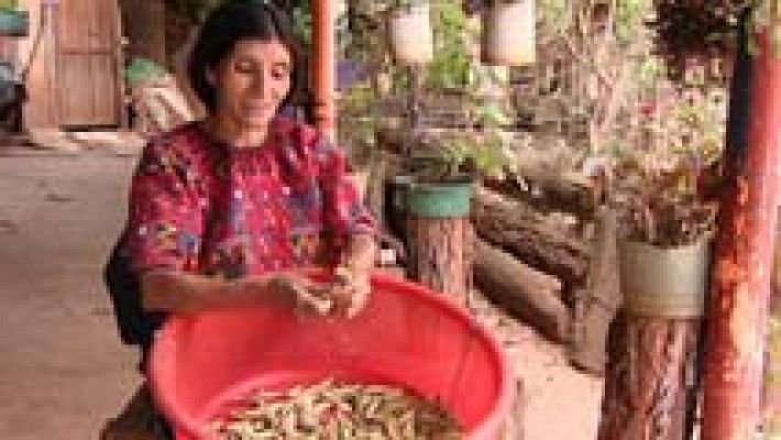 Telediario 1 - Un proyecto de desarrollo financiado con donaciones de España ha dado acceso al agua a 800 familias de Guatemala