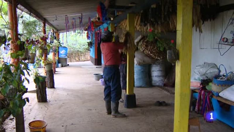 Un proyecto de desarrollo financiado con donaciones de España ha dado acceso al agua a 800 familias de Guatemala