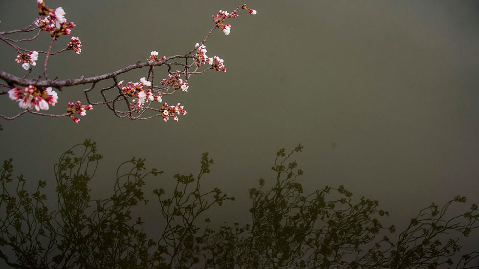 La nubosidad y las precipitaciones se irán extendiendo por la tarde