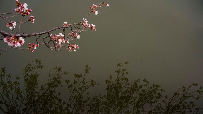 El tiempo - La nubosidad y las precipitaciones se irán extendiendo por la tarde