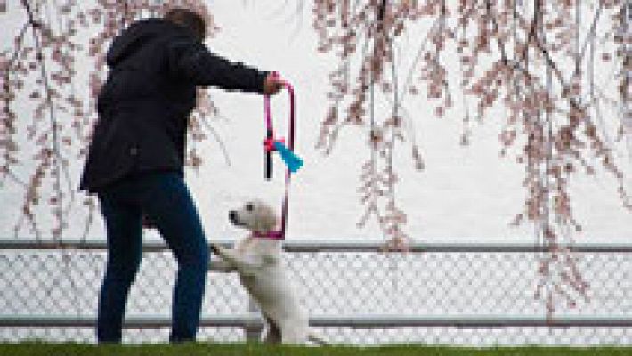 El tiempo - Vientos fuertes en el noroeste peninsular y área cantábrica