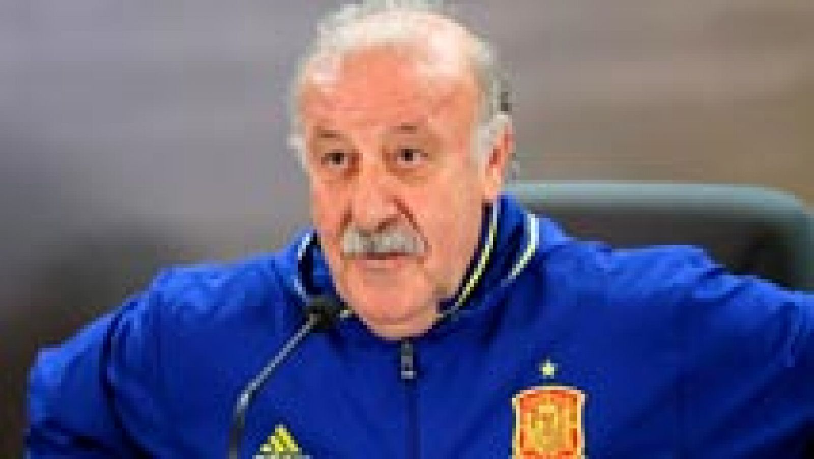 Del Bosque destaca el compromiso de todos con la selección