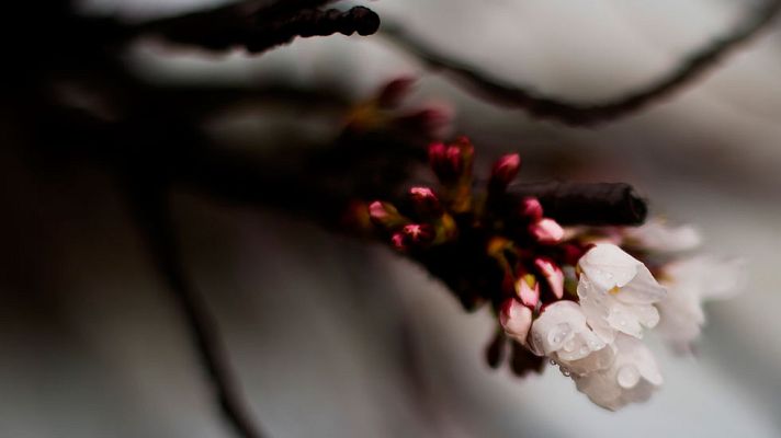 El tiempo - Intervalos nubosos en aumento hasta muy nuboso