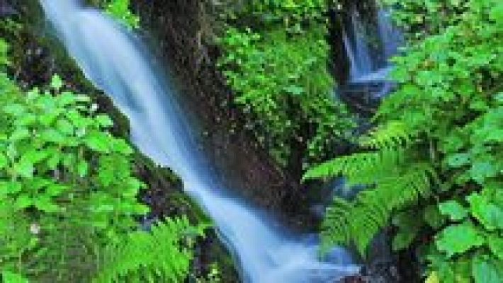 La aventura del Saber - La aventura del saber - 28/03/16