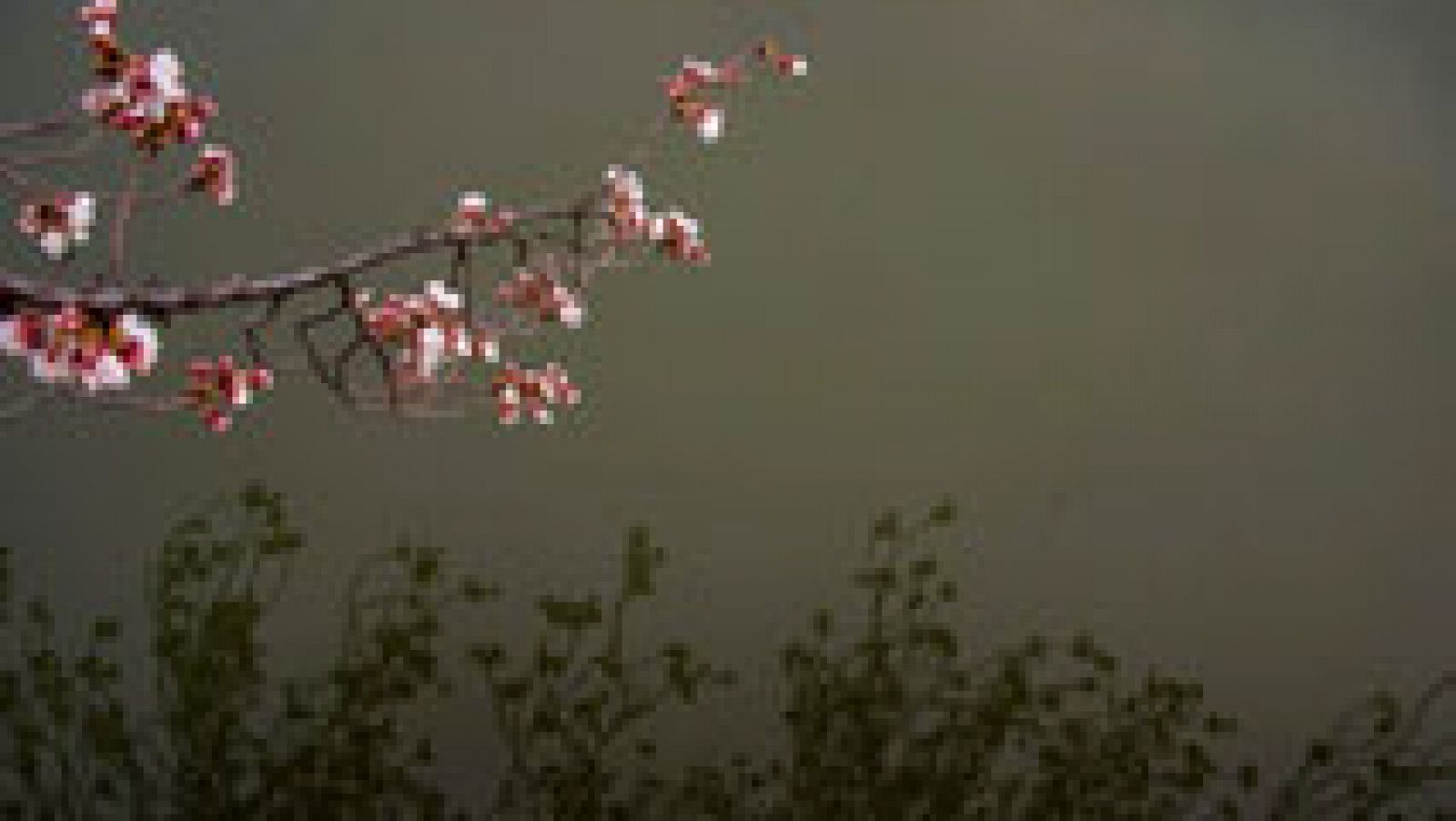 El tiempo: Lluvias localmente fuertes en el oeste de Galicia | RTVE Play