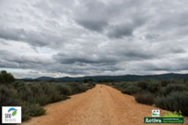 El lobo ibérico: Sierra de la Culebra 