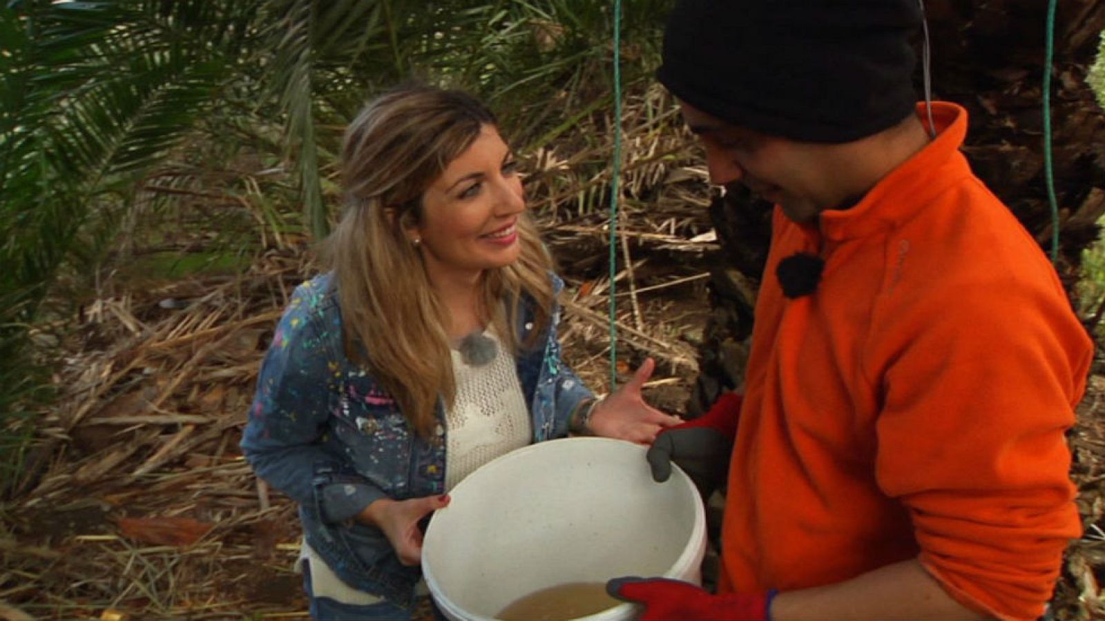 Hacemos miel sin abejas