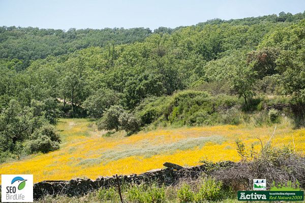 Red Natura 2000 - Sierras Cabezas del Águila