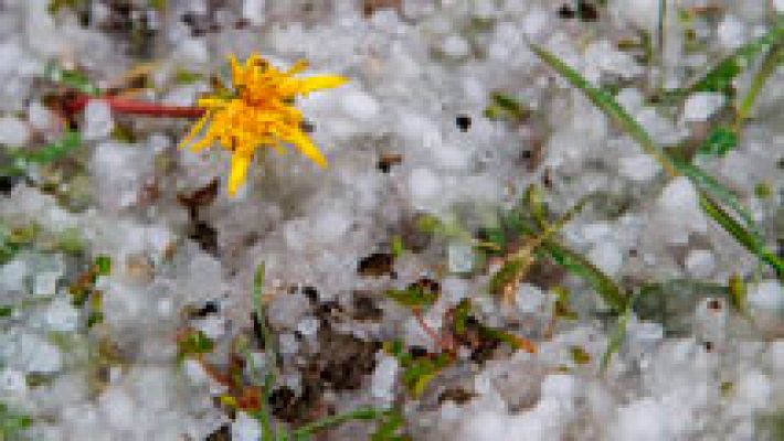 Caen las temperaturas y vuelven las nevadas en cotas bajas