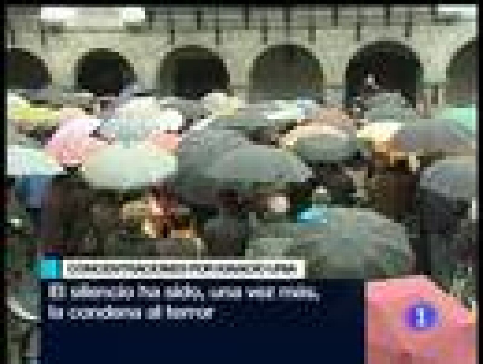 Telediario 1 en cuatro minutos - 04/12/08 | Ver