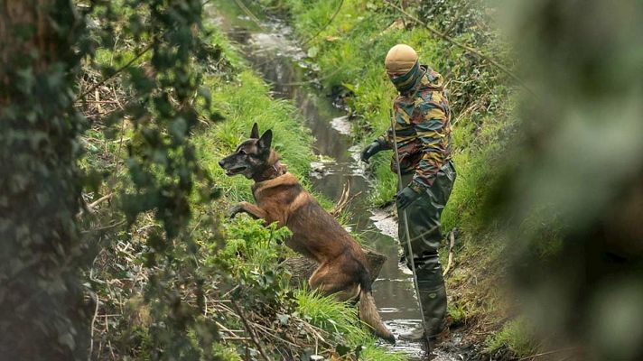 Telediario 1 - Las autoridades belgas han lanzado una operación antiterrorista vinculada al yihadista detenido en París