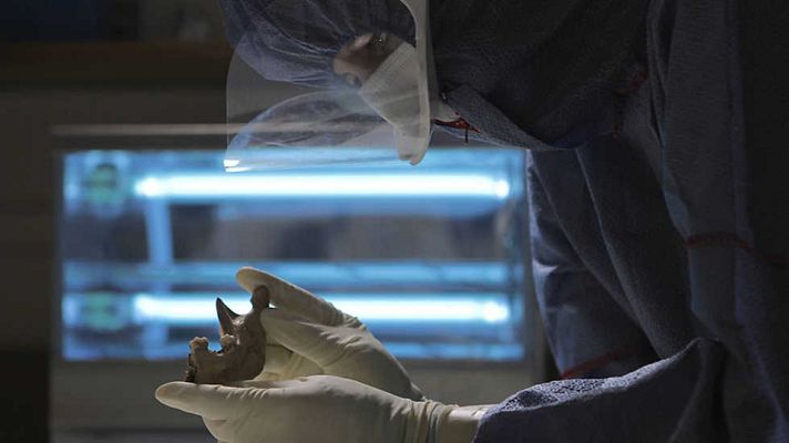 Documenta2 - La vida en nosotros: Superhumanos