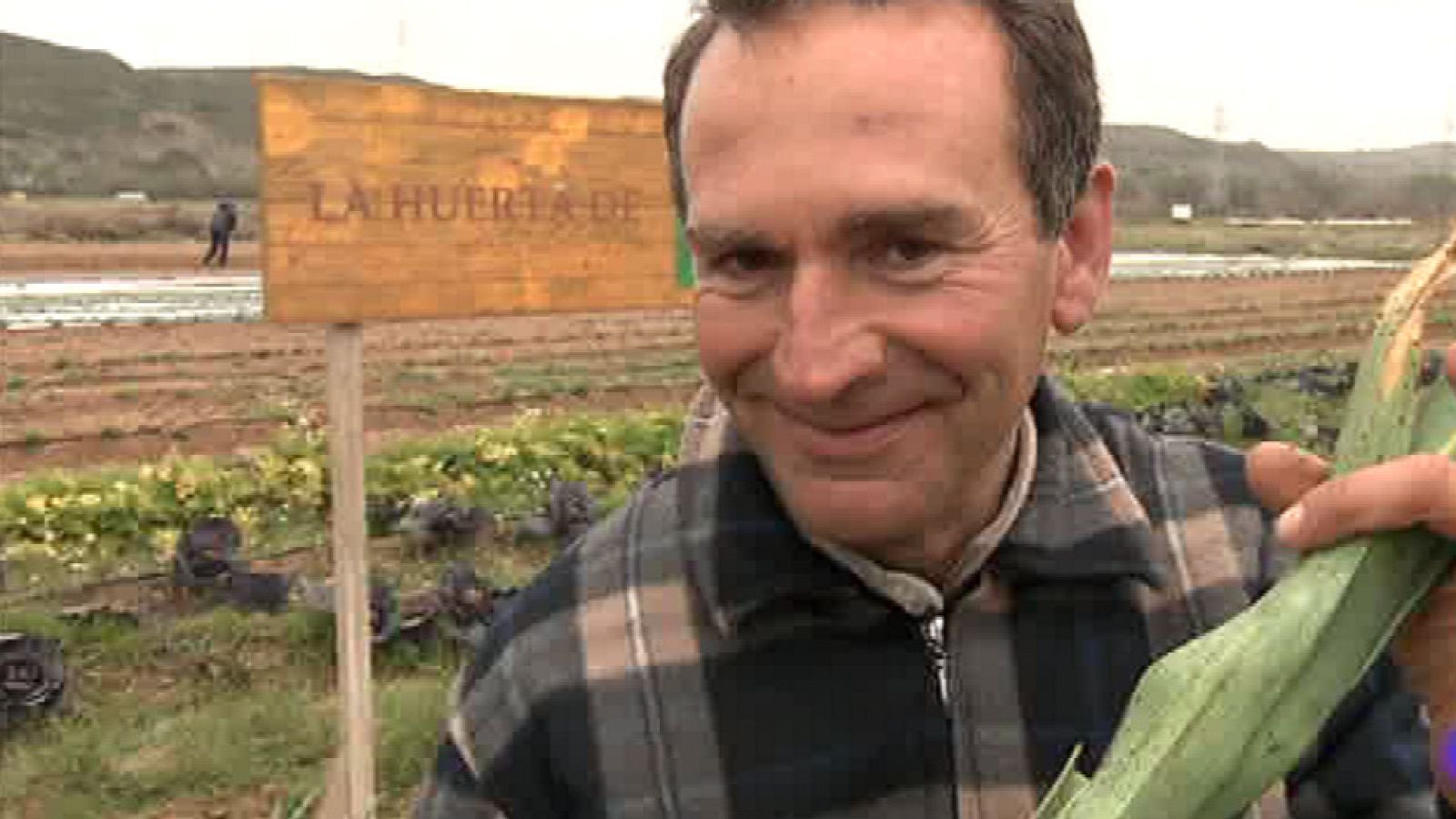 Puerros en tu propia casa