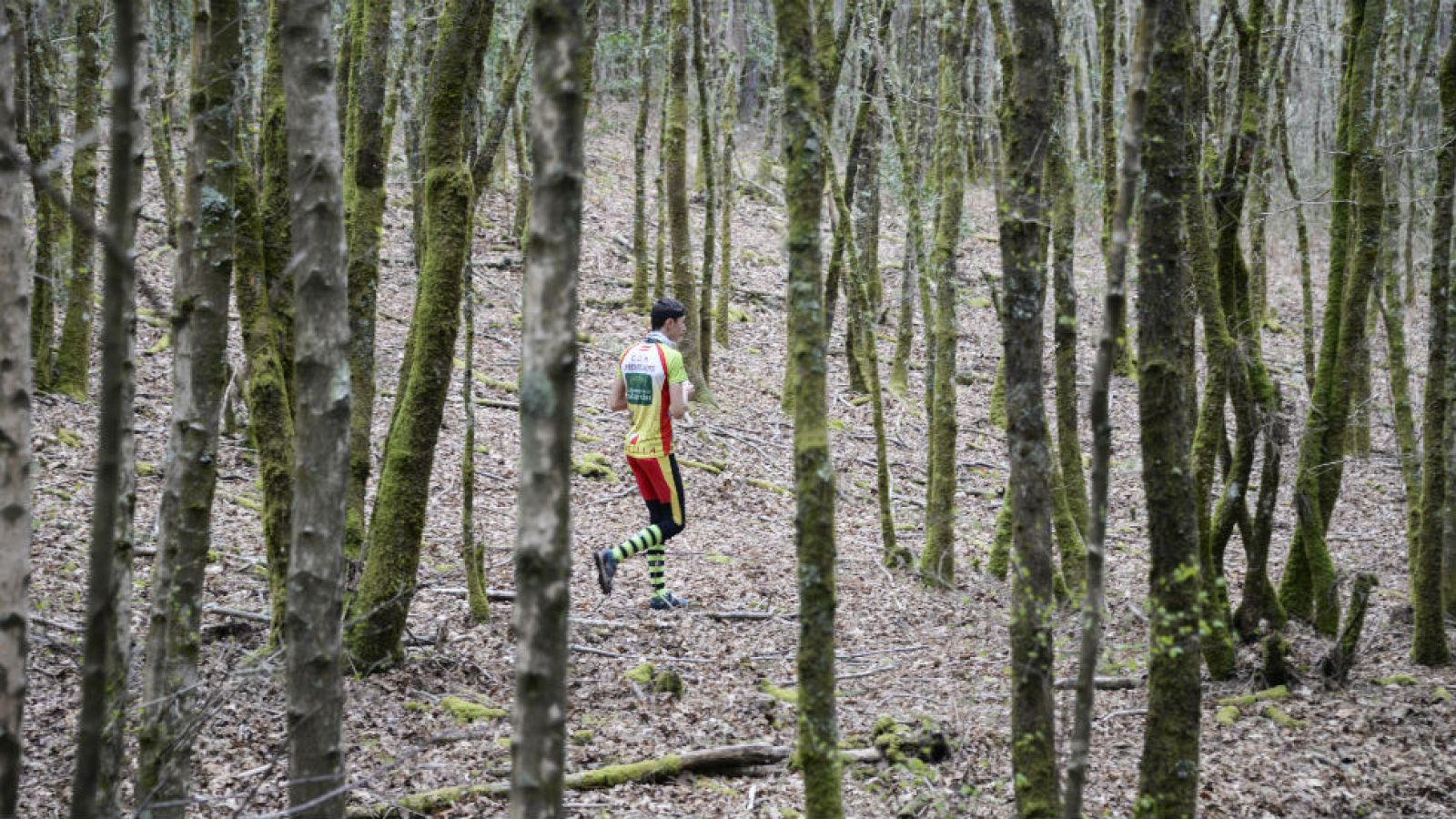 Campeonato de España de Orientación. Pontevedra 2016 - Otros deportes | Ver