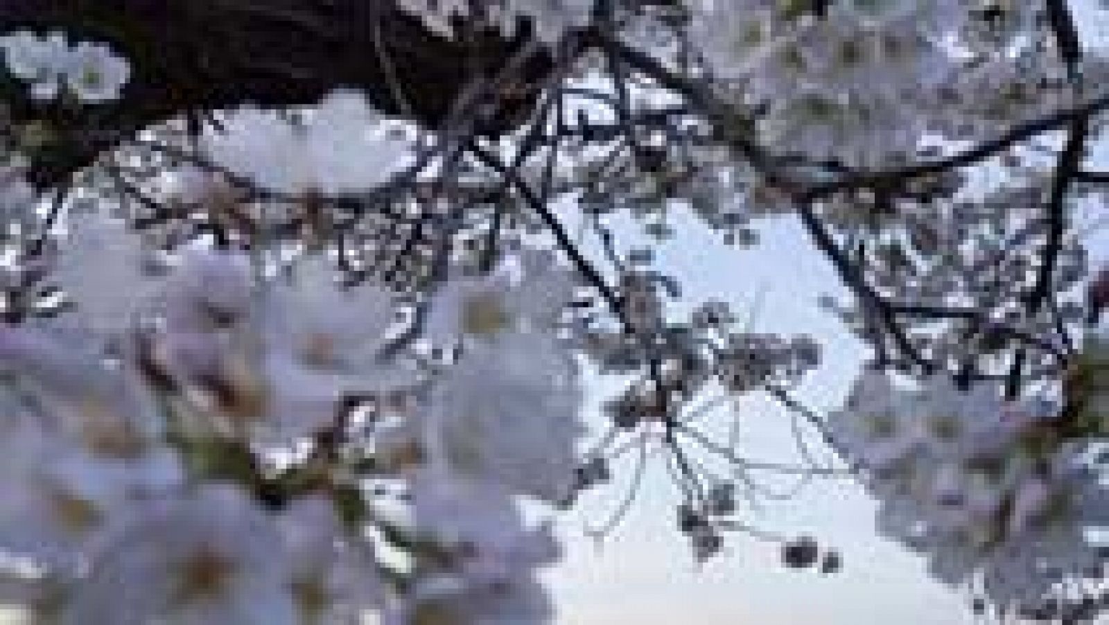 Suben las temperaturas en todo el país