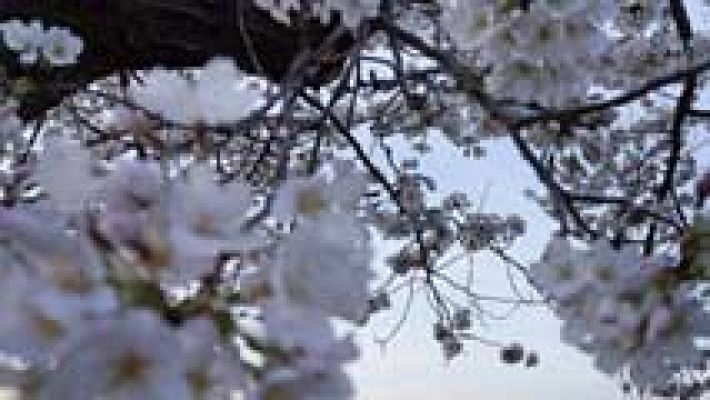 El tiempo - Suben las temperaturas en todo el país