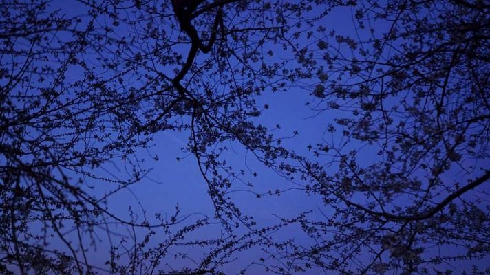 El tiempo - Cielos soleados en la mayor parte del país y lluvia en Galicia