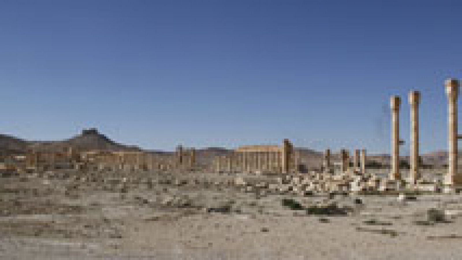 Encuentran en Palmira una fosa común con los restos humanos de más de 40 personas
