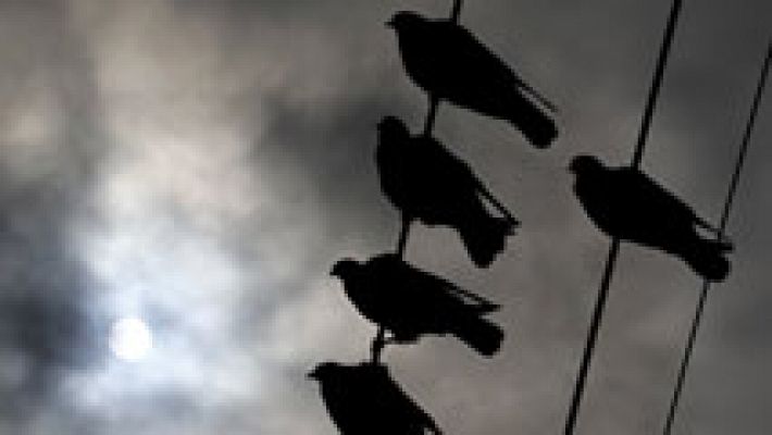 El tiempo - Lluvias generalizadas y temperaturas mínimas en ascenso