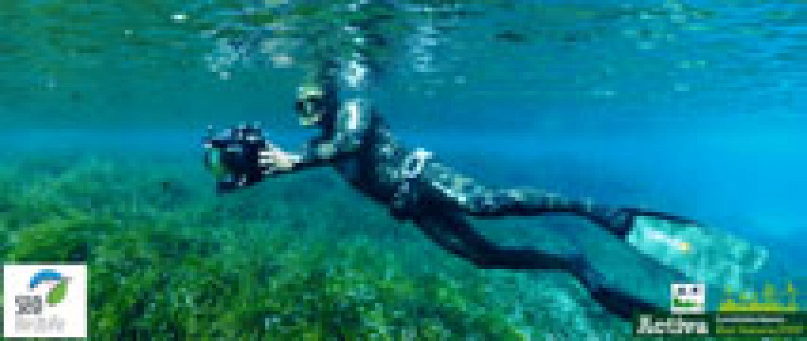 Red Natura 2000 - Buceando en Ses Salines d'Eivissa i Formentera