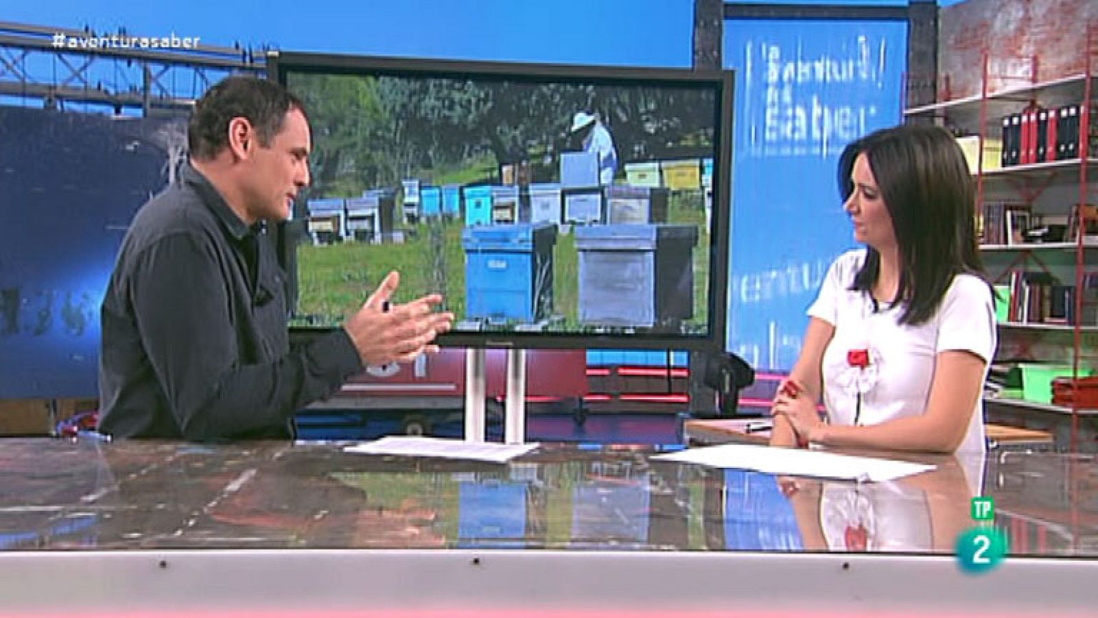 La Aventura del Saber. Divulgación medioambiental. José Manuel Crespo. Las abejas