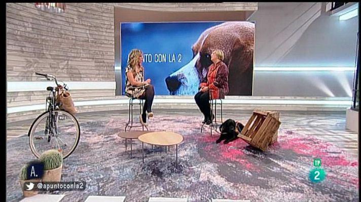 A punto con La 2 - Los perros guía y la seguridad vial