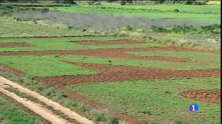 Informatiu Balear - Un missatge a l'hort