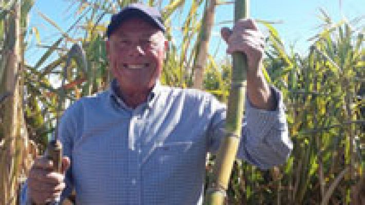 España Directo - Motril, el pueblo de la caña de azúcar