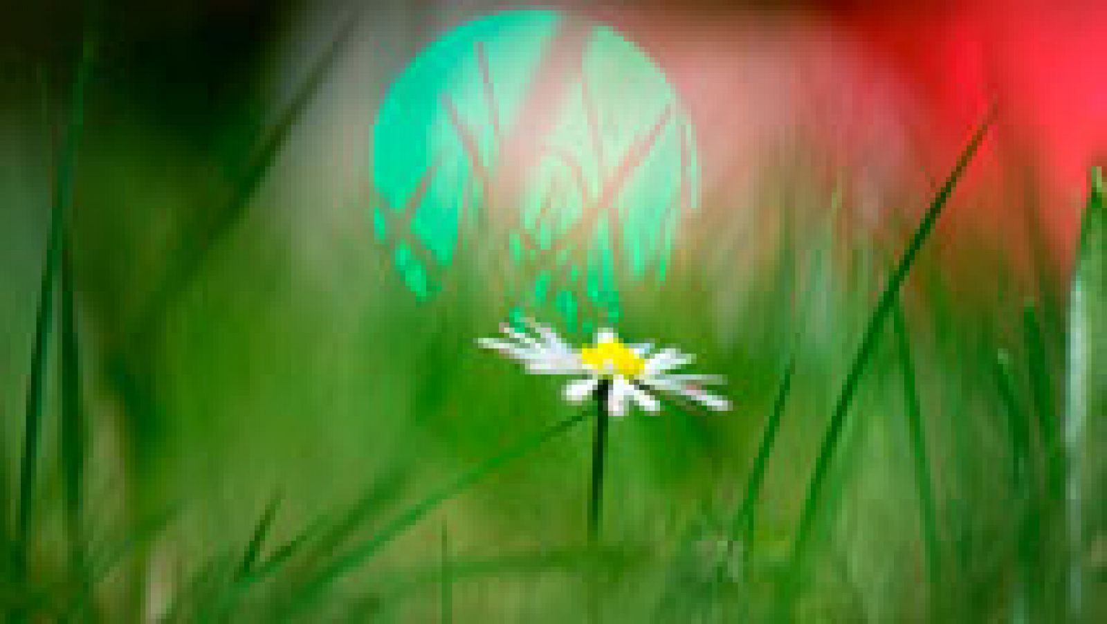 15 de provincias en riesgo por lluvias, oleaje y nevadas