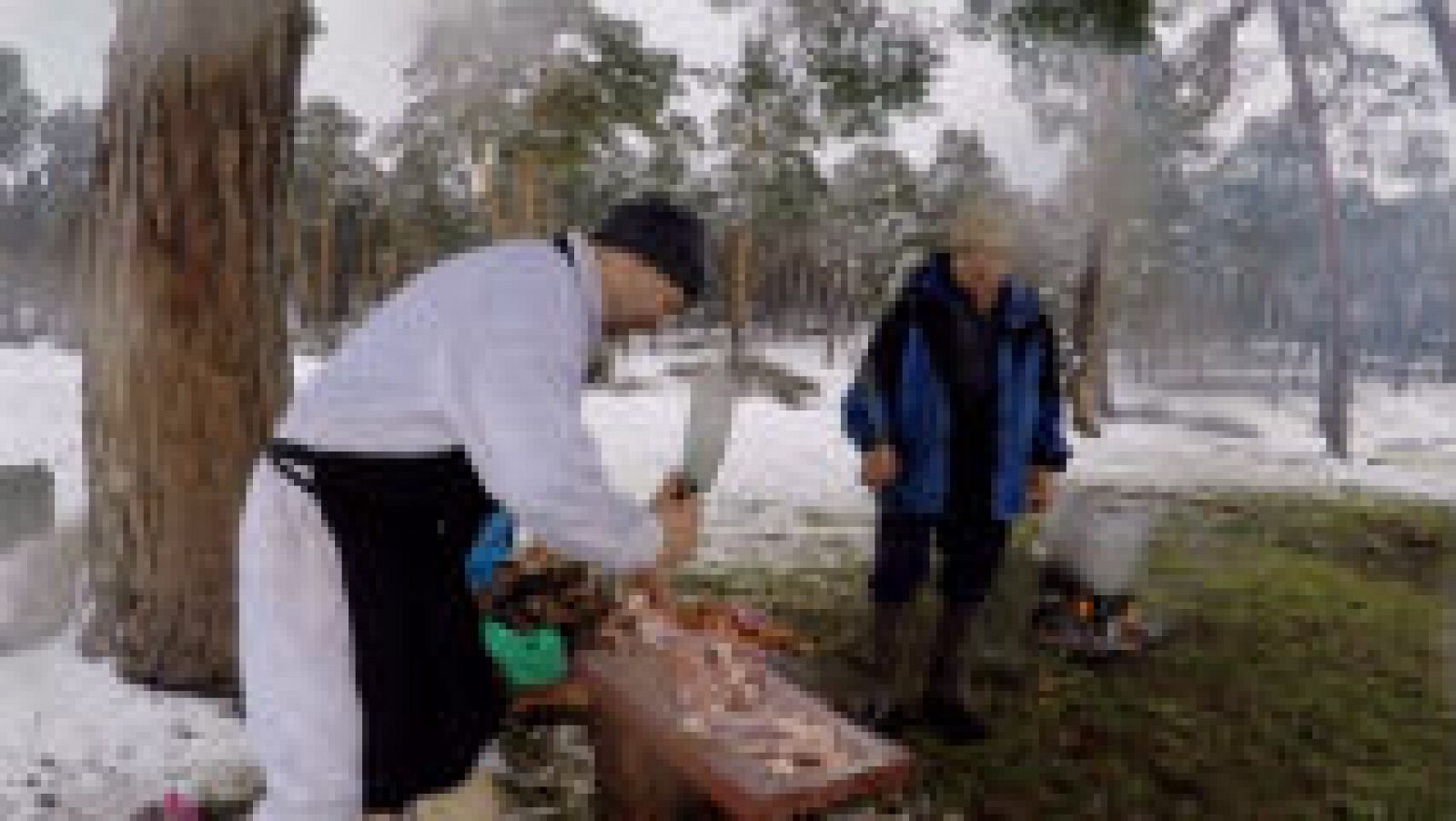  El ajo carretero, receta del monte