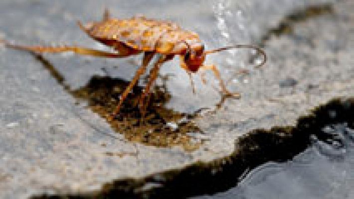 El tiempo - Viento fuerte en los dos archipiélagos y temperaturas diurnas en aumento en la Península