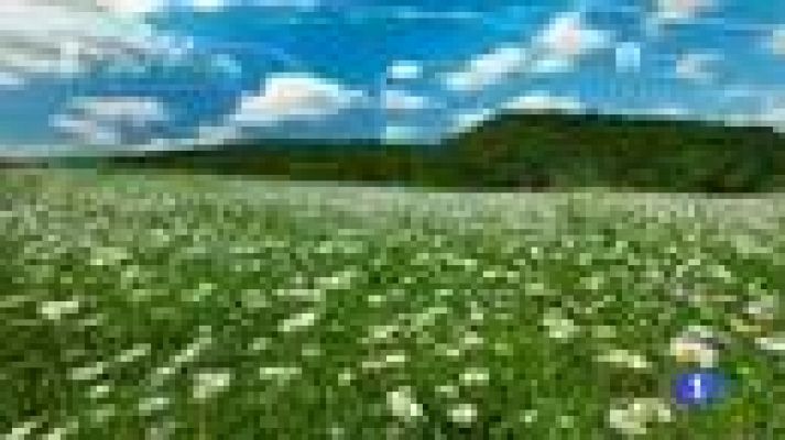 Noticias Murcia - El tiempo en la Región de Murcia - 06/04/2016