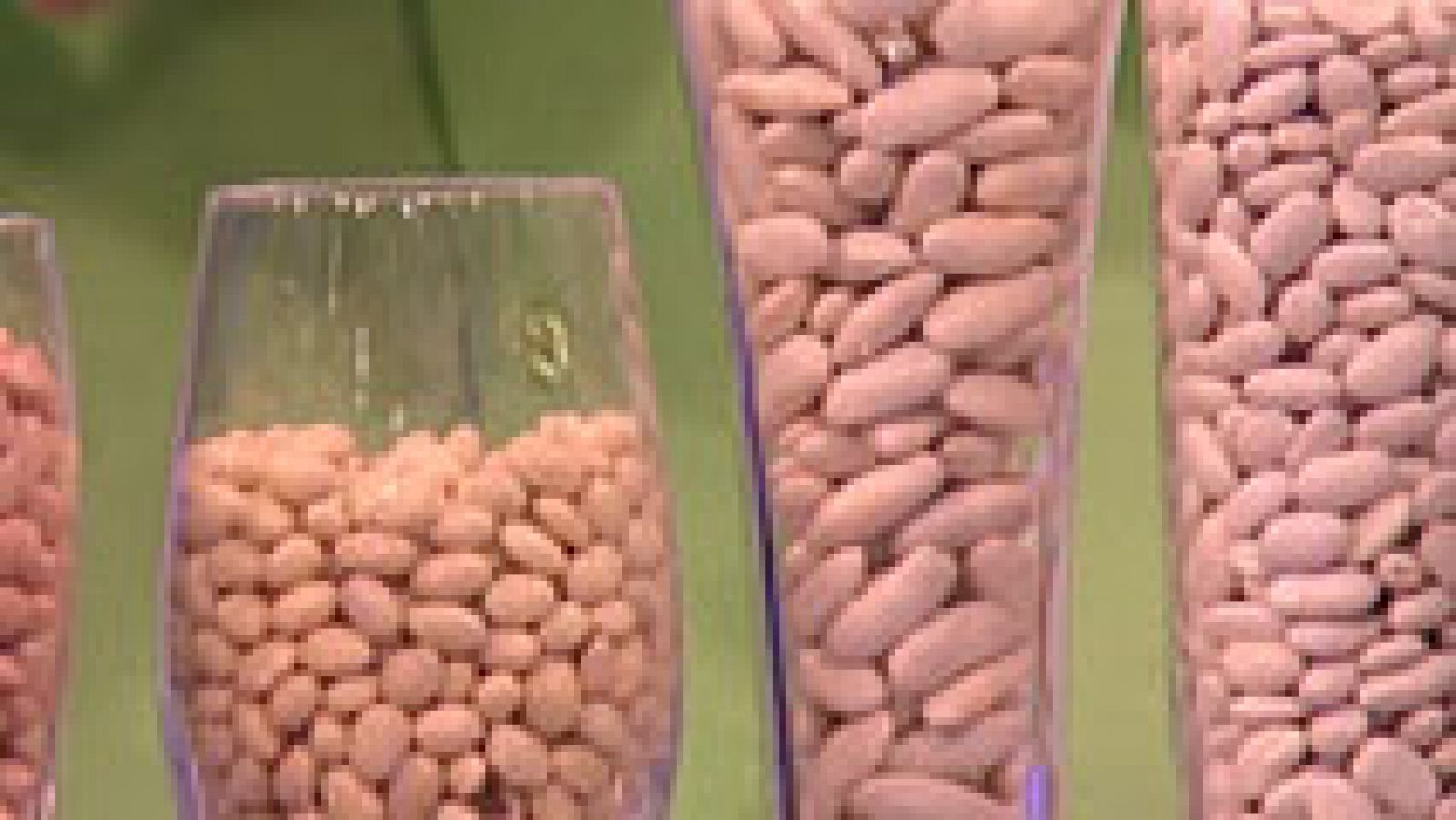 Las legumbres, imprescindibles en nuestra dieta