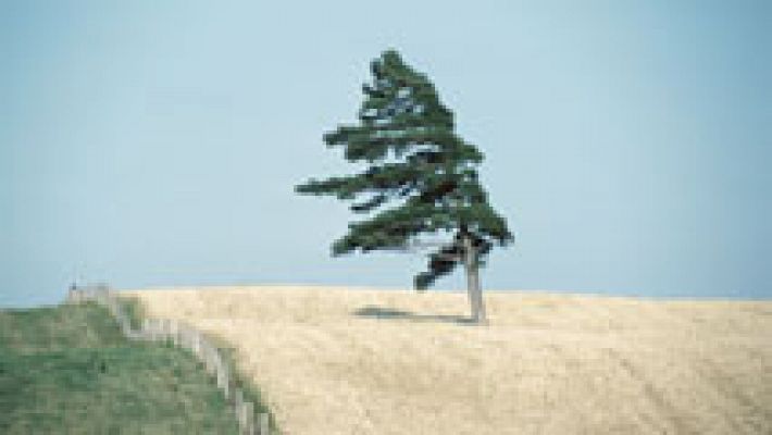 El tiempo - Viento fuerte en Canarias, Baleares, Girona y valle del Ebro