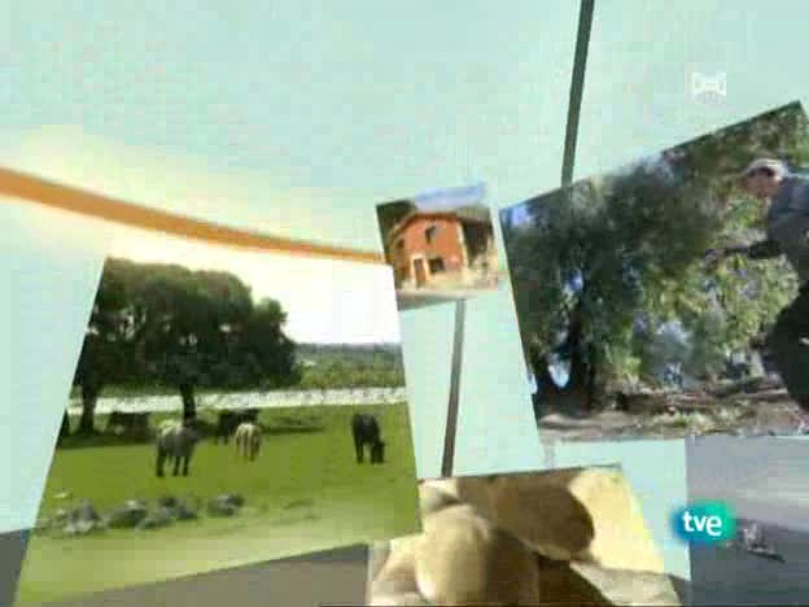 Agrosfera - 06/12/08 - Agrosfera | Ver