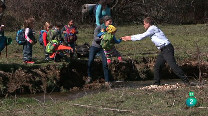 La aventura del Saber - Bosquescuela