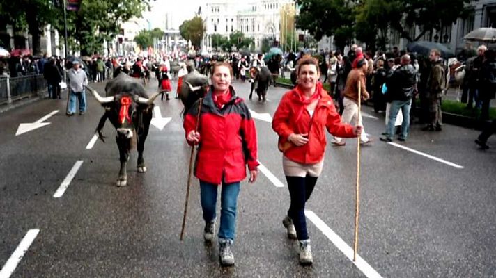 El escarabajo verde - A paso de vaca (2)
