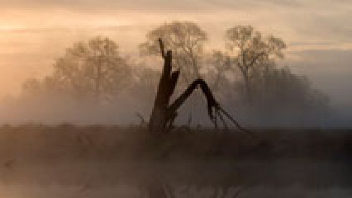 El tiempo - Viento fuerte en el noroeste peninsular y el Estrecho