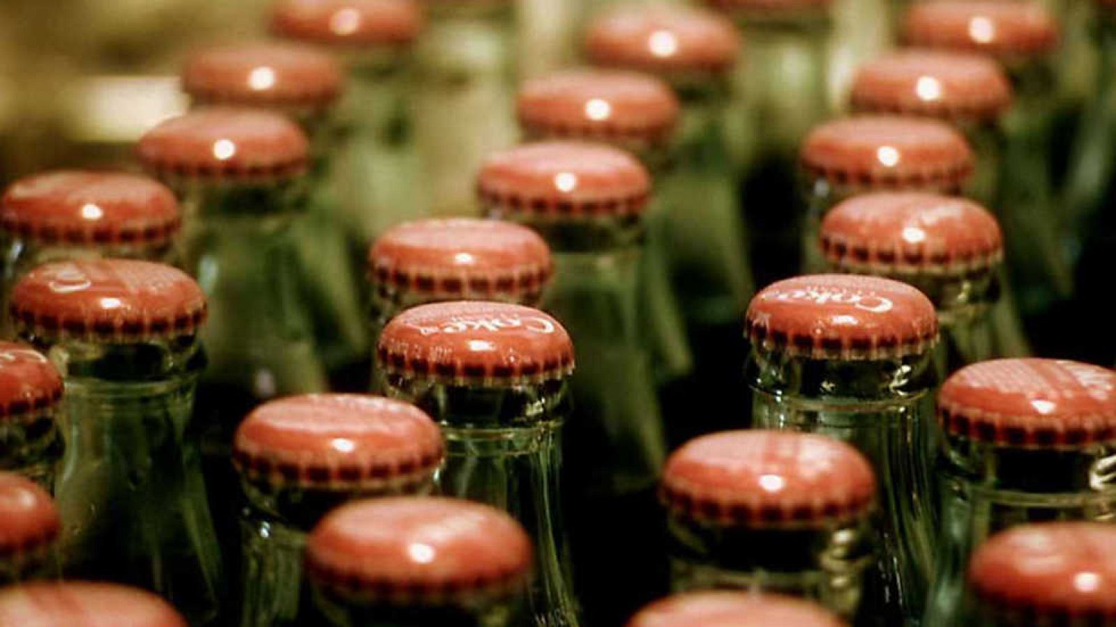 La noche temática - Los evasores - ver ahora